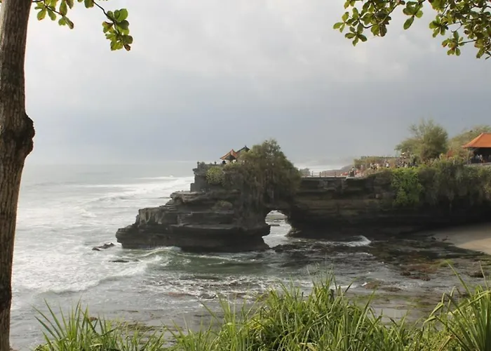Maylie Bali & Konukevi Canggu